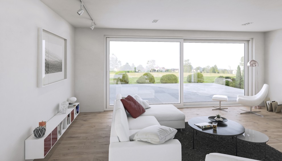 extra large windows